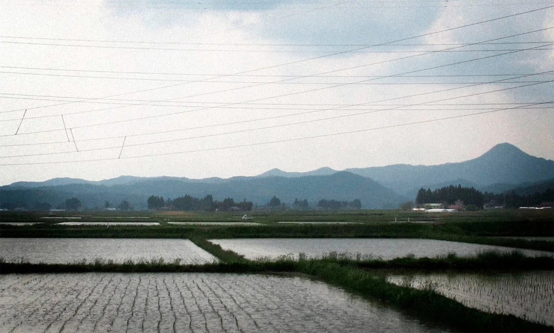 TOHOKU
