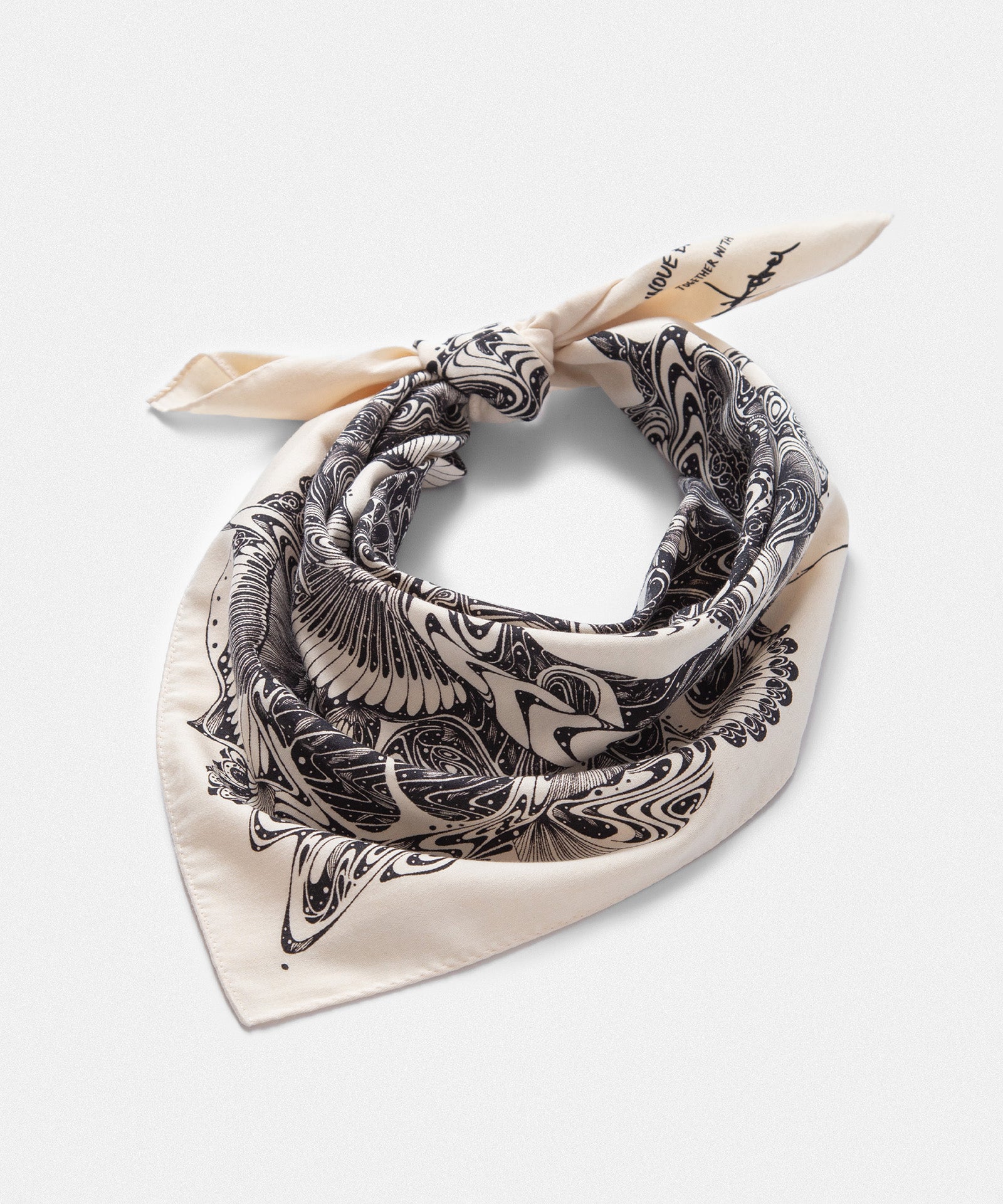 Cotton Scarf small "TAKERU IWAZAKI"